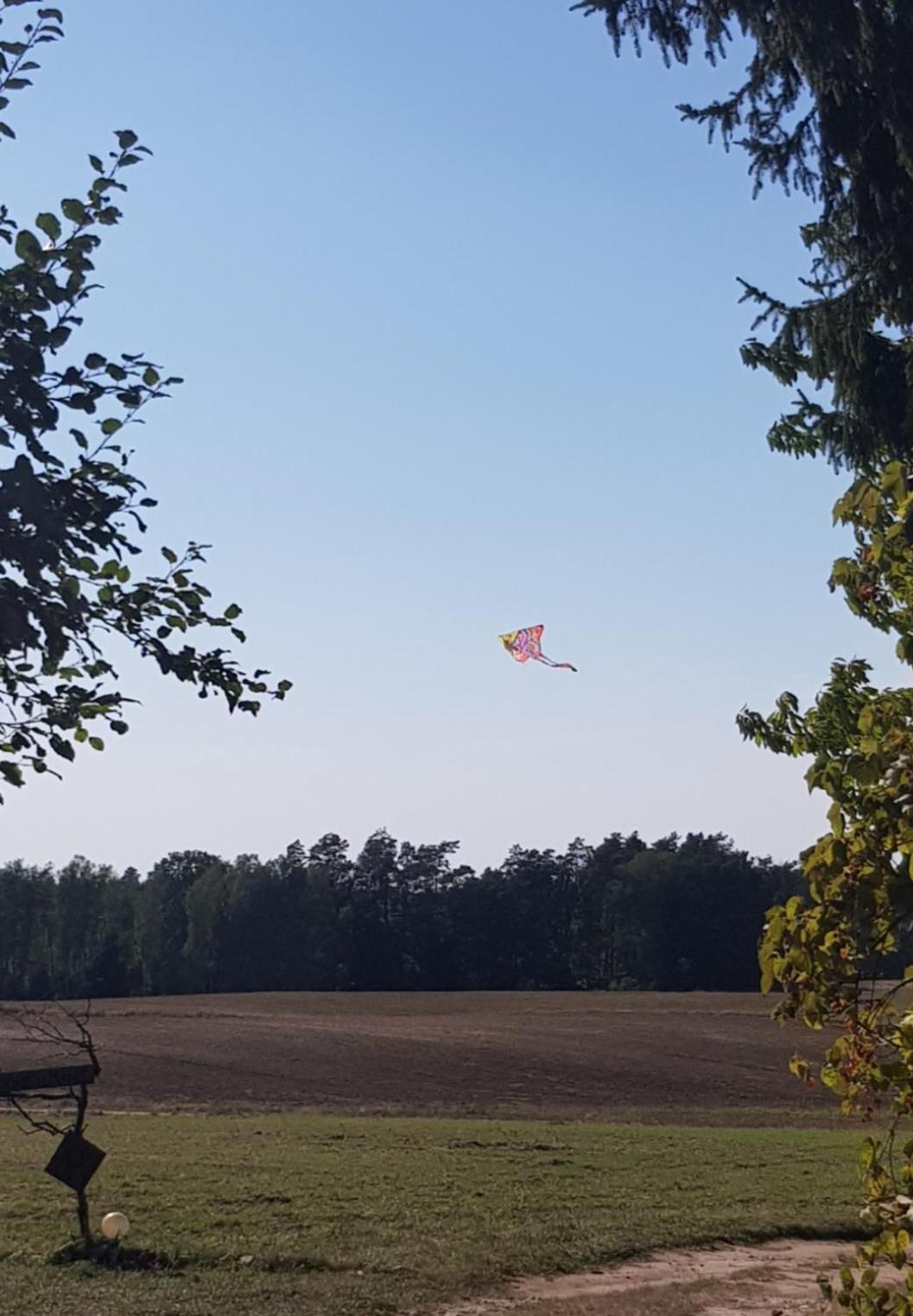 Wczasy Na Kaszubach U Hani Wiele Exterior photo